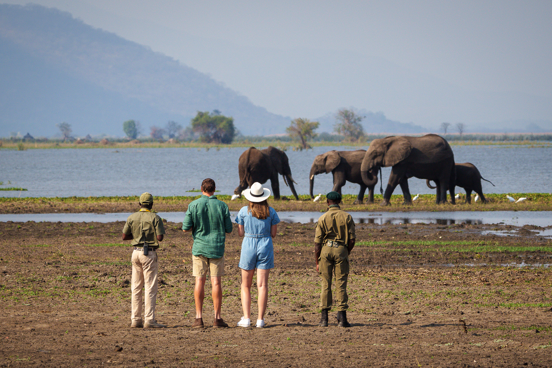 Family and Group Tours